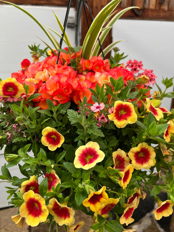 Jardinière extérieure