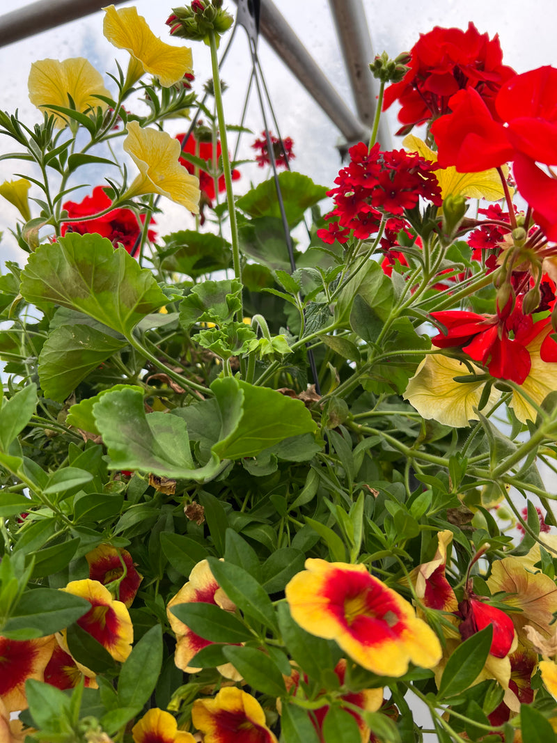 Jardinière extérieure