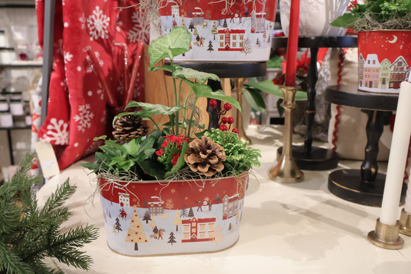 Jardin de plante Maison de Village