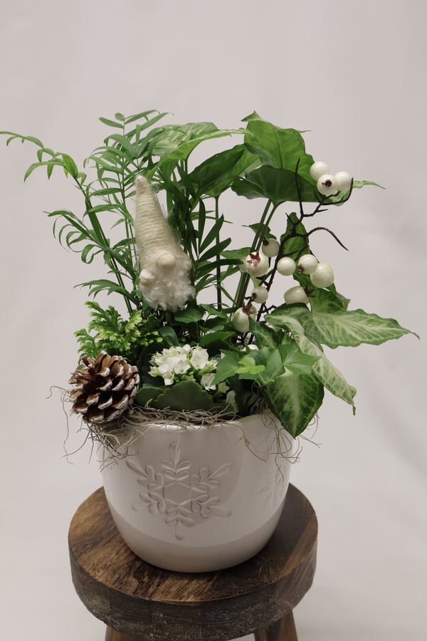 Jardin hivernal Le Flocon