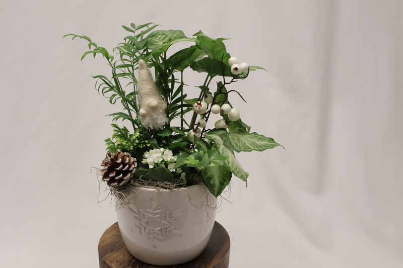 Jardin hivernal Le Flocon