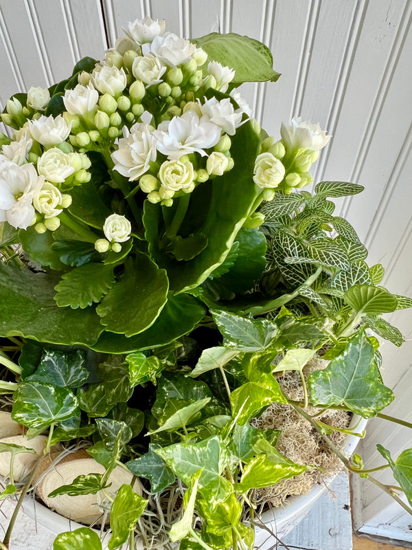 Jardin de douceur blanche